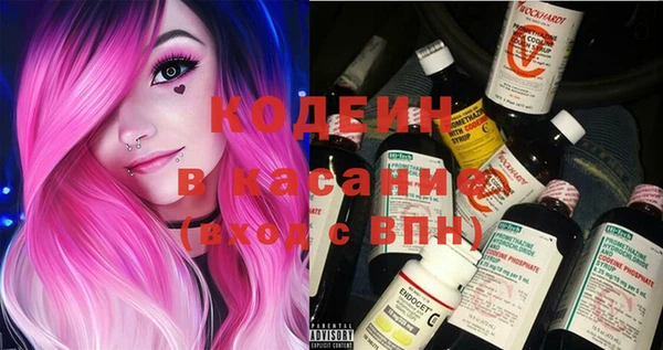крисы Лагань