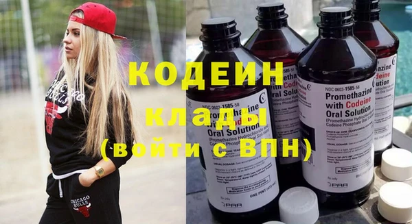 крисы Лагань