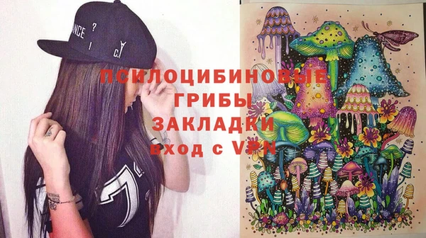 крисы Лагань