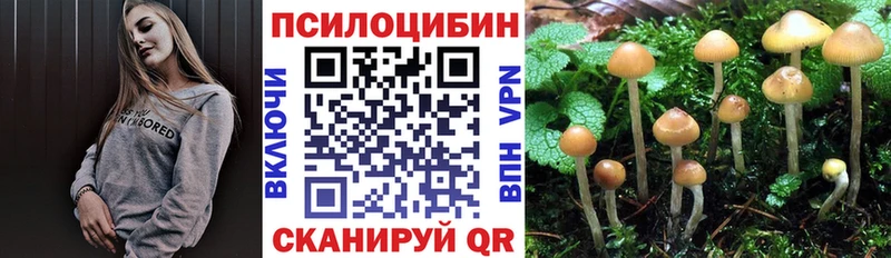 Галлюциногенные грибы мицелий  Юрюзань 